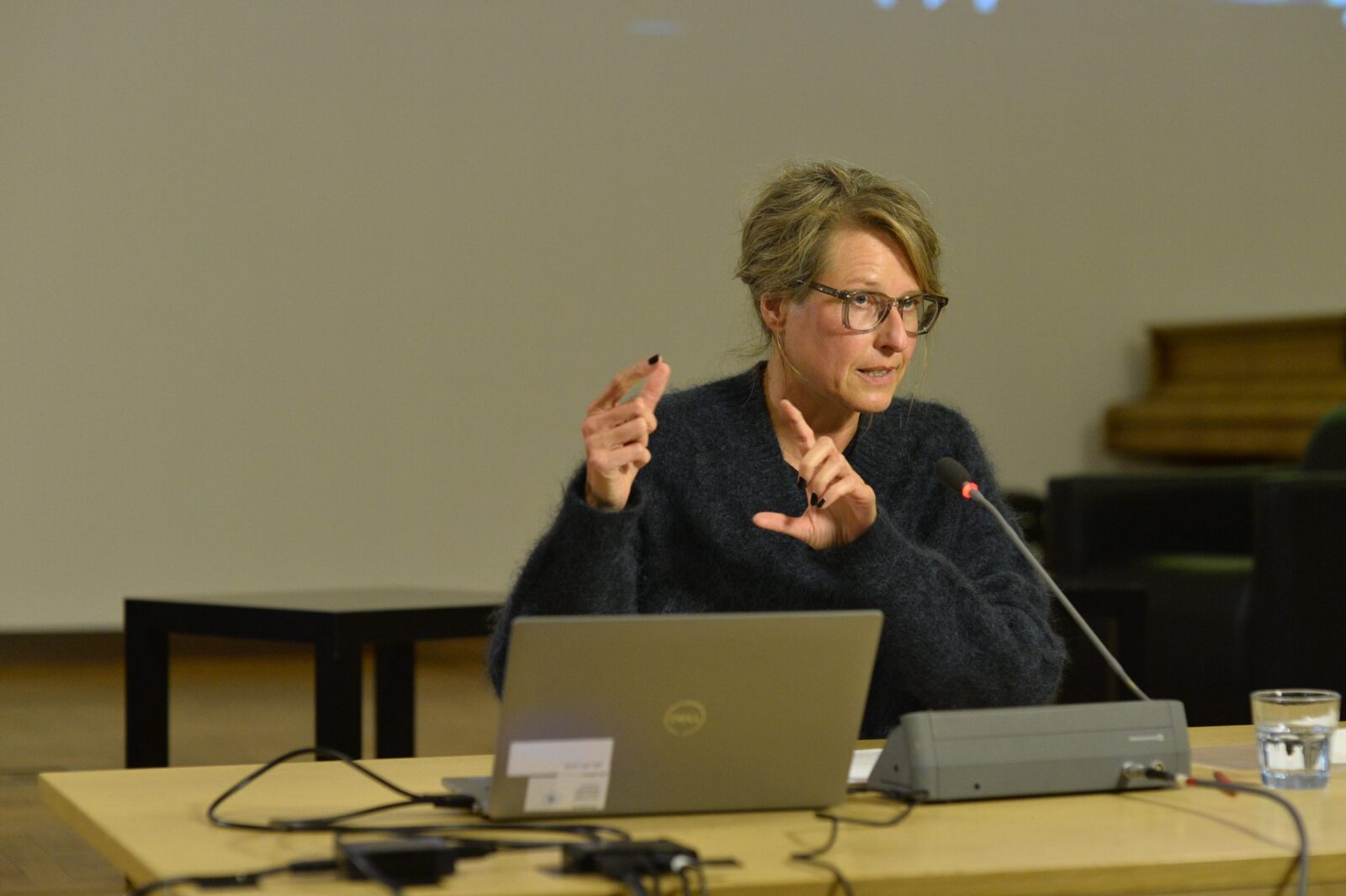 Karin Krauthausen